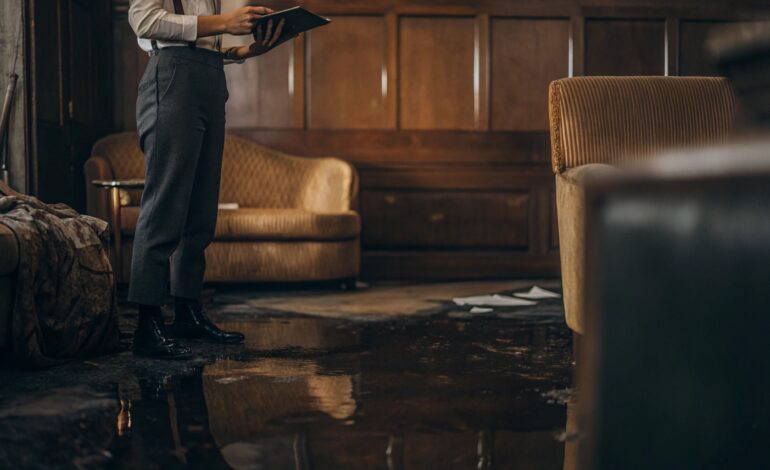 What Factors Affect the Cost of Repairing Water Damage Alexandria VA with Water Damage Restoration Alexandria VA?