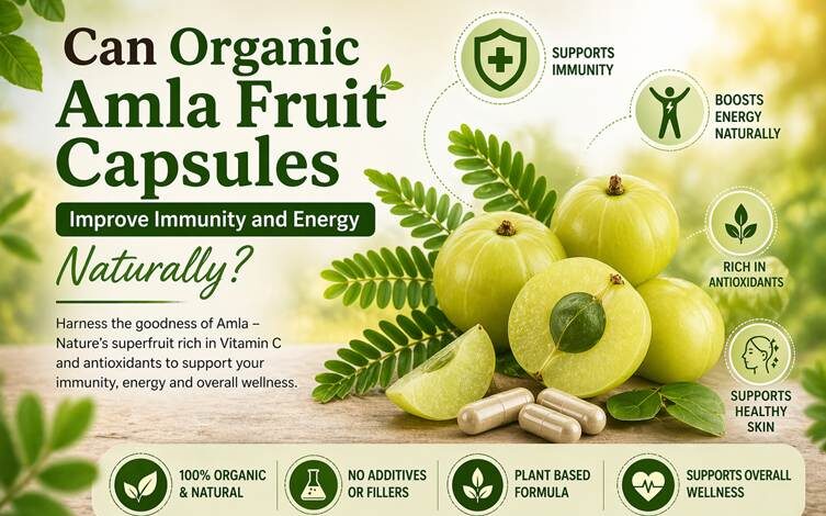 Can Organic Amla Fruit Capsules Improve Immunity & Energy Naturally?